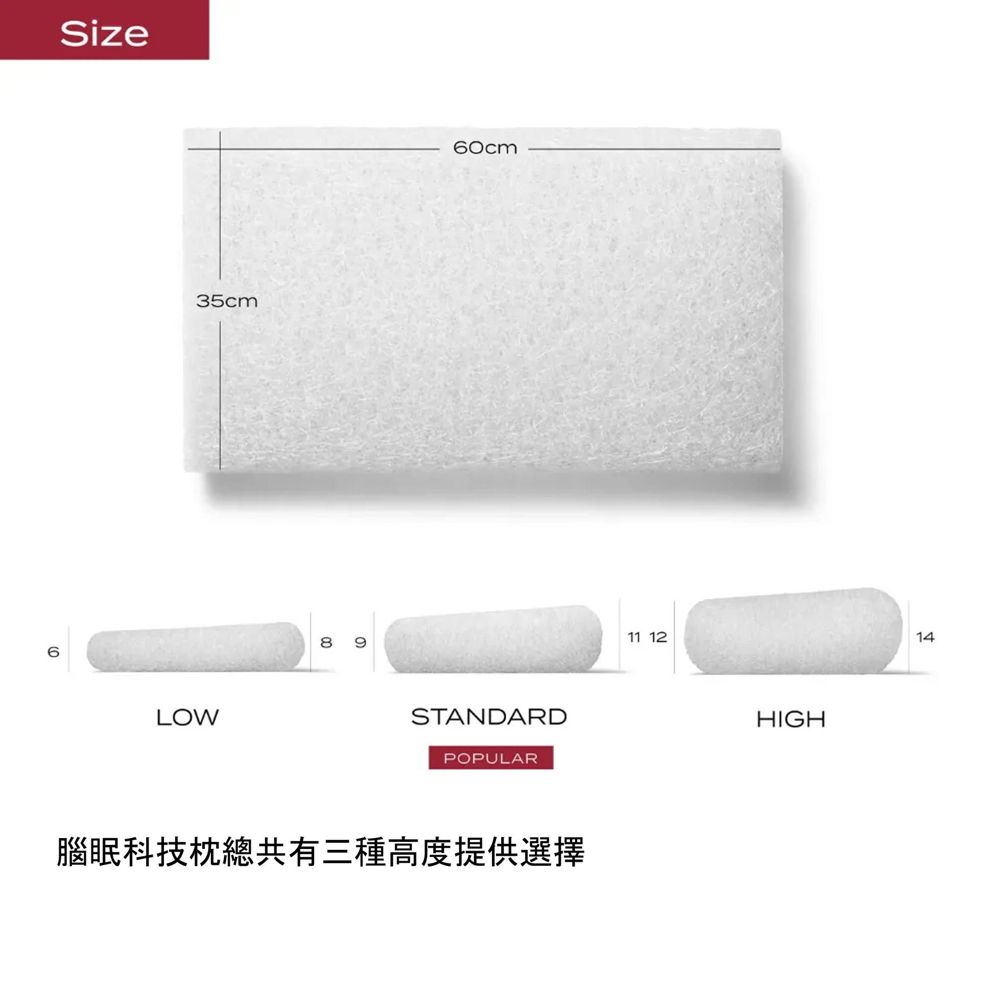 BRAIN SLEEP PILLOW | BRAIN SLEEP | GLOBAL OFFICIAL SITE